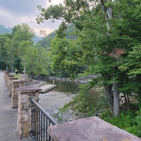 Bear Necessities, Luxury 5Bd Mtn Views, Hot Tub, Many Bear Sightings Villa Gatlinburg Exterior photo