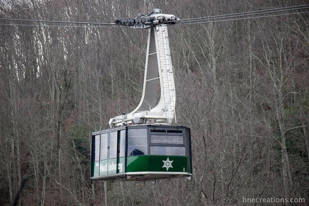 Bear Necessities, Luxury 5Bd Mtn Views, Hot Tub, Many Bear Sightings Villa Gatlinburg Exterior photo