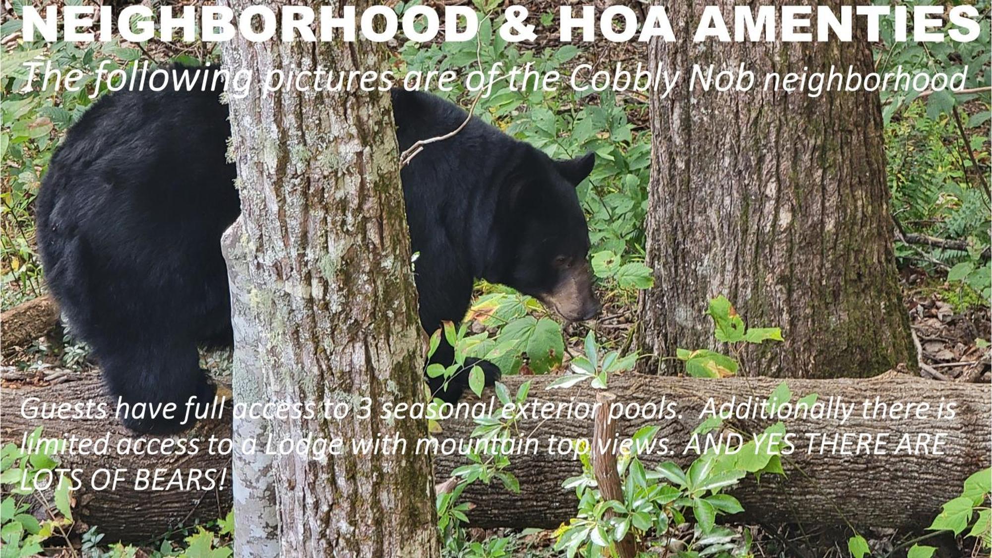 Bear Necessities, Luxury 5Bd Mtn Views, Hot Tub, Many Bear Sightings Villa Gatlinburg Exterior photo